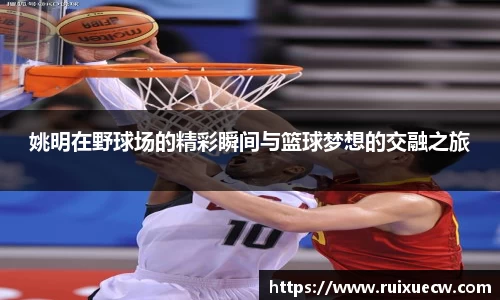 姚明在野球场的精彩瞬间与篮球梦想的交融之旅