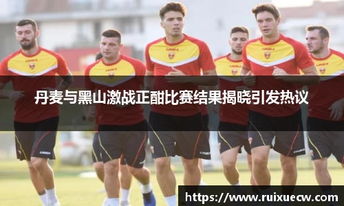 丹麦与黑山激战正酣比赛结果揭晓引发热议