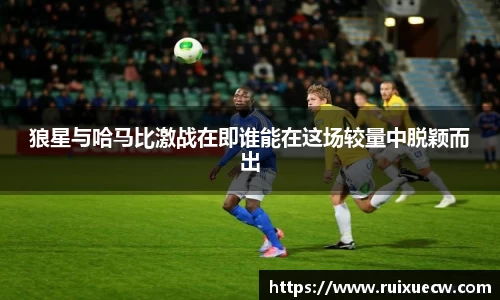 狼星与哈马比激战在即谁能在这场较量中脱颖而出